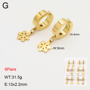 2E2006322ajpa-256  Stainless Steel Earrings