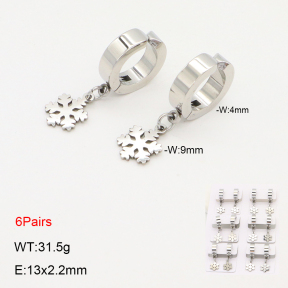 2E2006323ajma-256  Stainless Steel Earrings