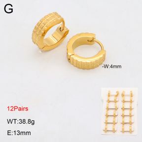 2E2006325bnib-256  Stainless Steel Earrings