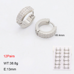 2E2006326bmmb-256  Stainless Steel Earrings