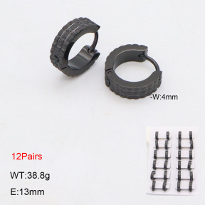 2E2006327bnib-256  Stainless Steel Earrings