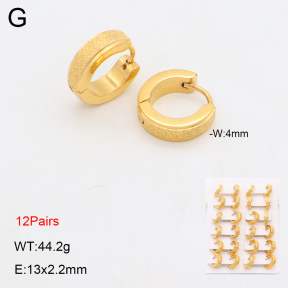 2E2006328bnib-256  Stainless Steel Earrings