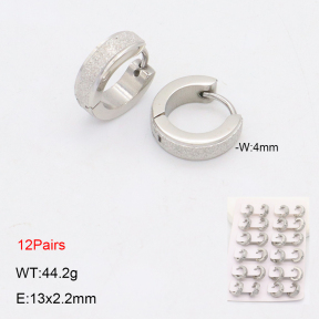 2E2006329bmmb-256  Stainless Steel Earrings