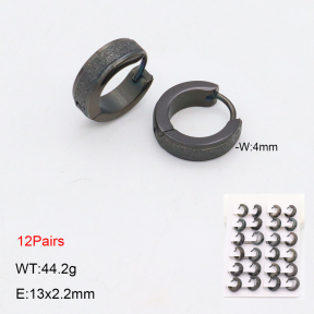 2E2006330bnib-256  Stainless Steel Earrings