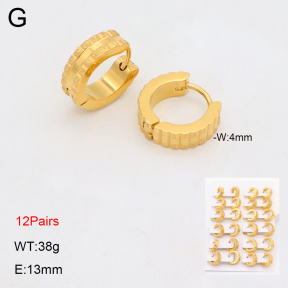 2E2006331bnib-256  Stainless Steel Earrings