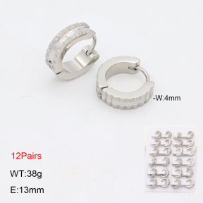 2E2006332bmmb-256  Stainless Steel Earrings