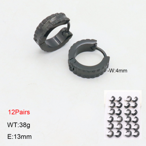 2E2006333bnib-256  Stainless Steel Earrings