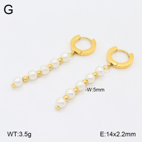 2E3003676vbll-743  Stainless Steel Earrings