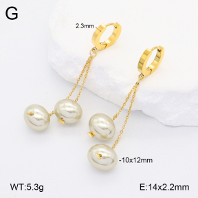 2E3003677vbnl-743  Stainless Steel Earrings