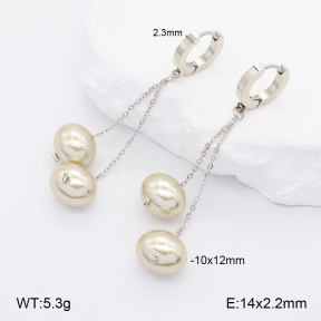 2E3003678vbnb-743  Stainless Steel Earrings