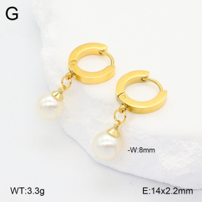 2E3003679aakl-743  Stainless Steel Earrings