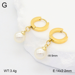 2E3003680aakl-743  Stainless Steel Earrings