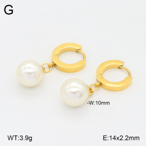 2E3003681aakl-743  Stainless Steel Earrings