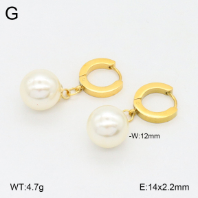 2E3003682ablb-743  Stainless Steel Earrings