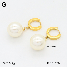2E3003683ablb-743  Stainless Steel Earrings