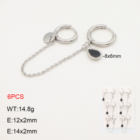 2E3003684akoa-256  Stainless Steel Earrings