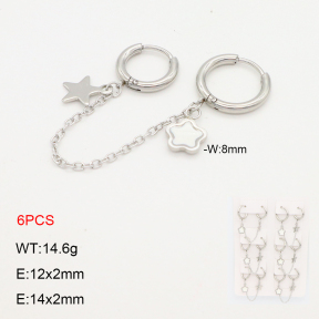 2E3003685akoa-256  Stainless Steel Earrings