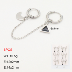 2E3003686akoa-256  Stainless Steel Earrings