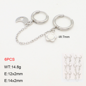 2E3003687akoa-256  Stainless Steel Earrings