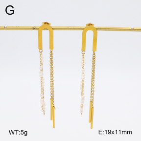 2E3003691aaki-698  Stainless Steel Earrings