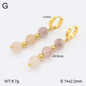 2E4004517vbnb-743  Stainless Steel Earrings