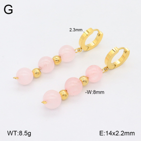 2E4004518vbnb-743  Stainless Steel Earrings