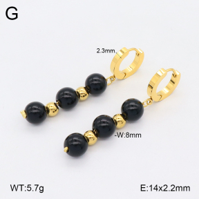 2E4004519vbmb-743  Stainless Steel Earrings