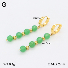 2E4004520vbnb-743  Stainless Steel Earrings