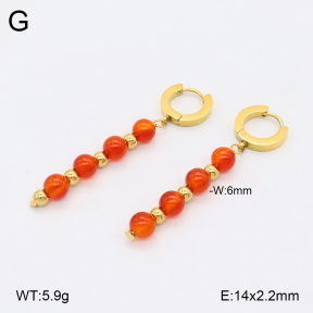 2E4004521vbnb-743  Stainless Steel Earrings