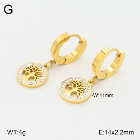 2E4004522bhbl-743  Stainless Steel Earrings