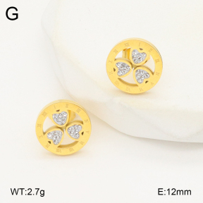 2E4004523bbml-743  Stainless Steel Earrings