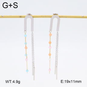 2E4004524baka-698  Stainless Steel Earrings