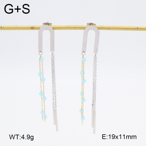 2E4004525baka-698  Stainless Steel Earrings