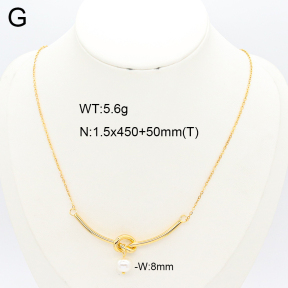 2N3002759vbpb-669  Stainless Steel Necklace