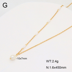 2N3002827ablb-350  Stainless Steel Necklace