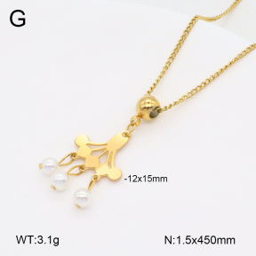 2N3002831ablb-350  Stainless Steel Necklace