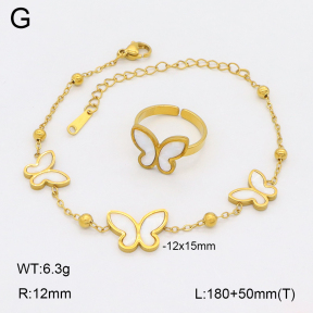 2S0011575bbov-698  Stainless Steel Set