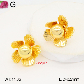 F2E201998bbov-J48  Fashion Copper Earrings
