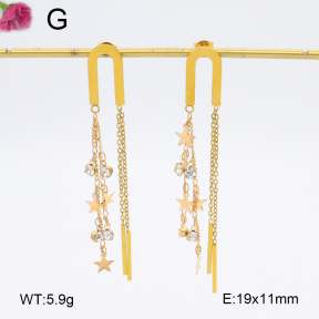 F2E402098aako-J73  Fashion Earrings