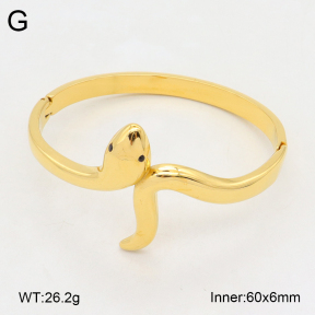 2BA402356bhbl-434  Stainless Steel Bangle