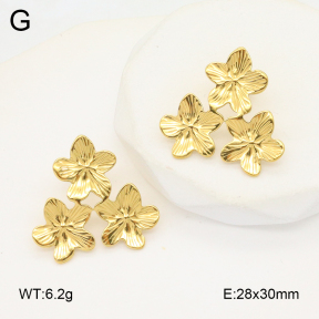 2E2006335bbml-434  Stainless Steel Earrings