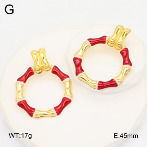 2E3003692bhia-434  Stainless Steel Earrings