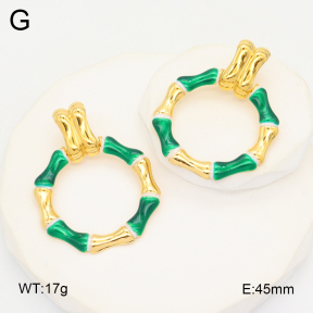 2E3003693bhia-434  Stainless Steel Earrings