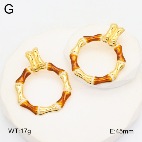 2E3003694bhia-434  Stainless Steel Earrings