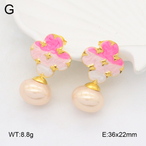 2E3003695bhva-434  Stainless Steel Earrings