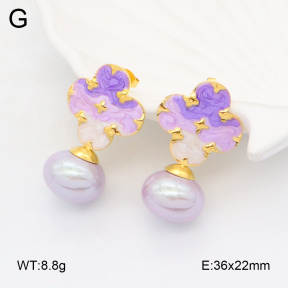 2E3003696bhva-434  Stainless Steel Earrings