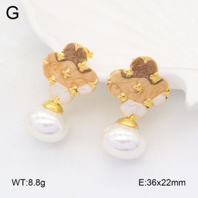 2E3003697bhva-434  Stainless Steel Earrings