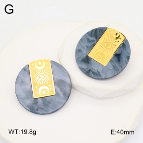 2E3003701bhva-434  Stainless Steel Earrings