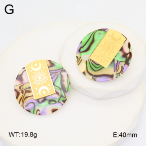 2E3003702bhva-434  Stainless Steel Earrings