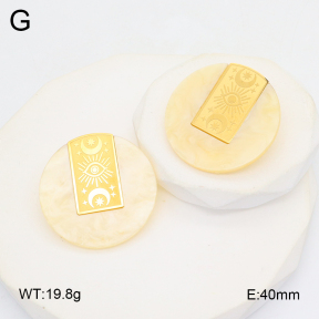 2E3003703bhva-434  Stainless Steel Earrings